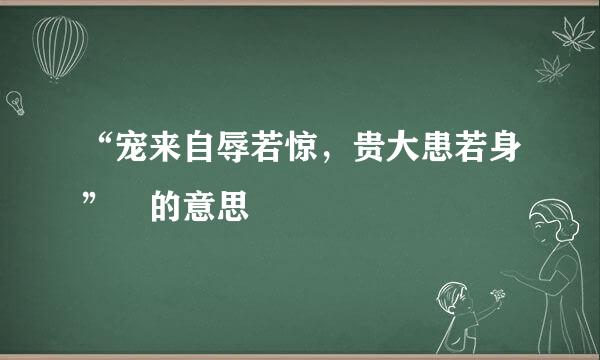 “宠来自辱若惊，贵大患若身” 的意思