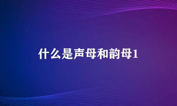 什么是声母和韵母1