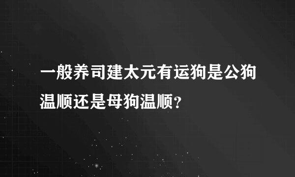 一般养司建太元有运狗是公狗温顺还是母狗温顺？