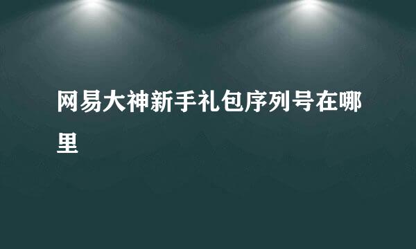 网易大神新手礼包序列号在哪里