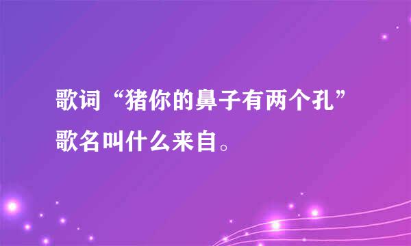 歌词“猪你的鼻子有两个孔”歌名叫什么来自。