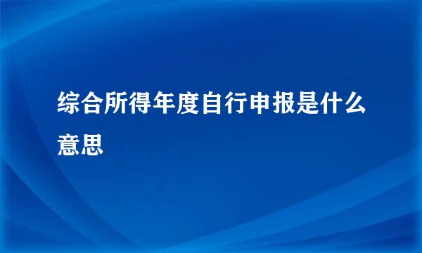 综合所得年度自行申报是什么意思