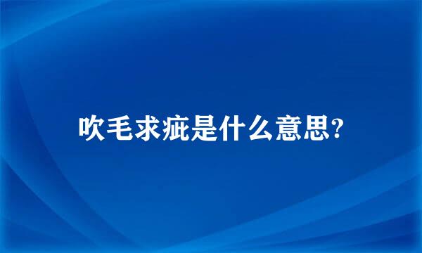 吹毛求疵是什么意思?