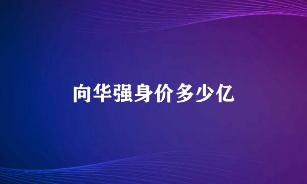 向华强身价多少亿