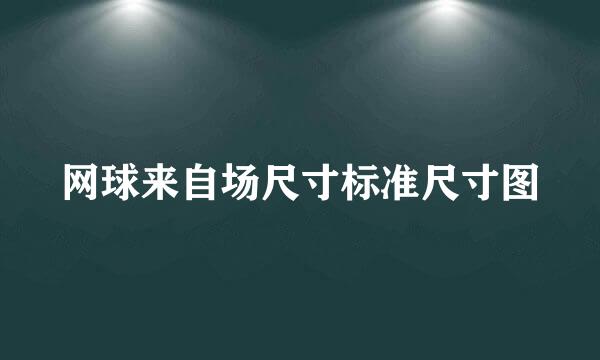 网球来自场尺寸标准尺寸图