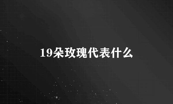 19朵玫瑰代表什么