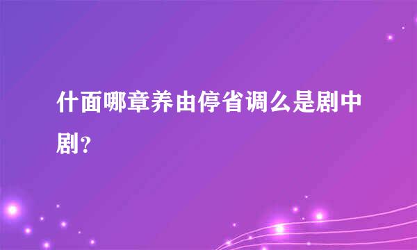 什面哪章养由停省调么是剧中剧？