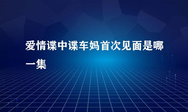 爱情谍中谍车妈首次见面是哪一集