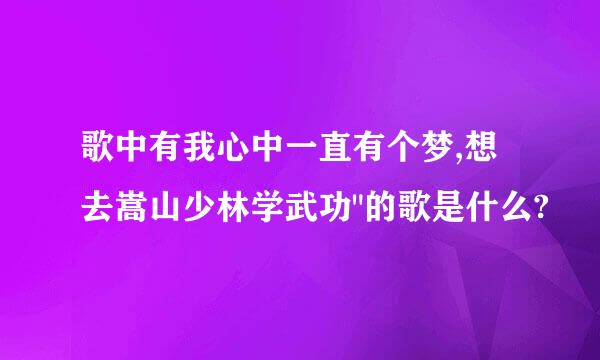 歌中有我心中一直有个梦,想去嵩山少林学武功