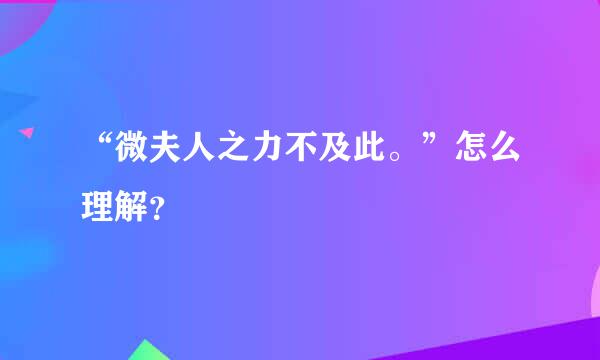 “微夫人之力不及此。”怎么理解？