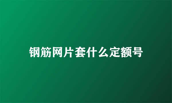 钢筋网片套什么定额号