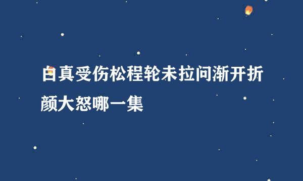 白真受伤松程轮未拉问渐开折颜大怒哪一集