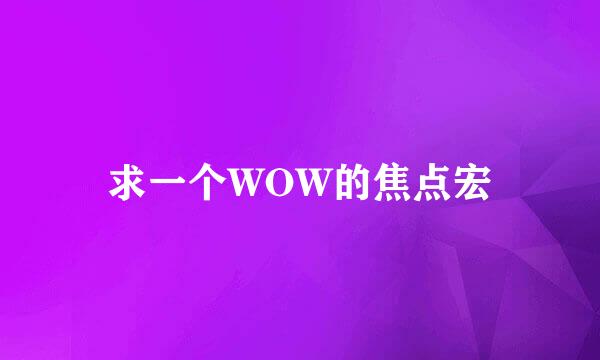 求一个WOW的焦点宏