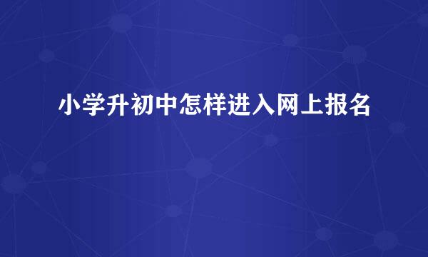 小学升初中怎样进入网上报名