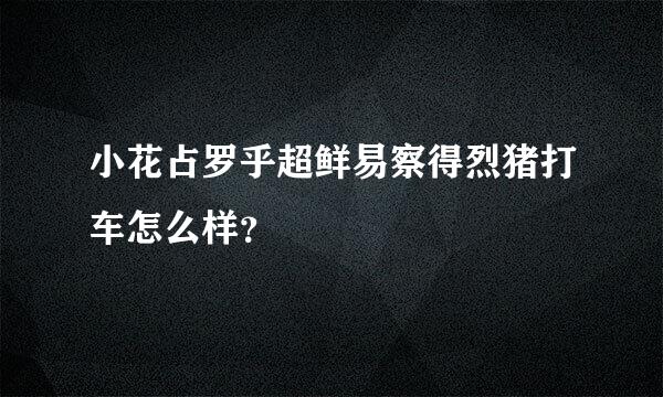 小花占罗乎超鲜易察得烈猪打车怎么样？