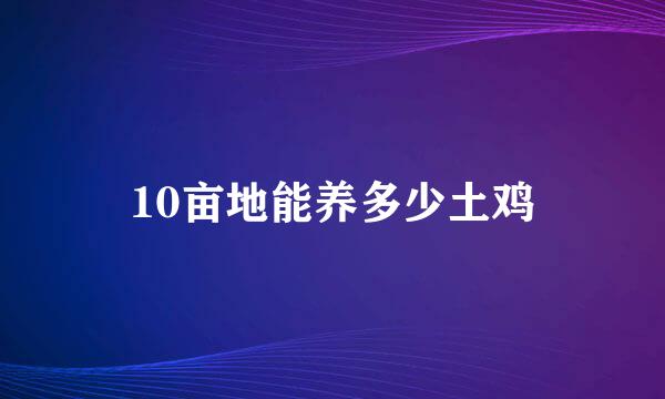 10亩地能养多少土鸡