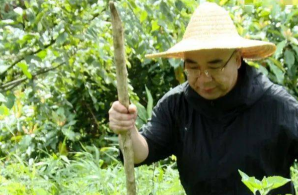 中呼同医孙本新个人资料简介