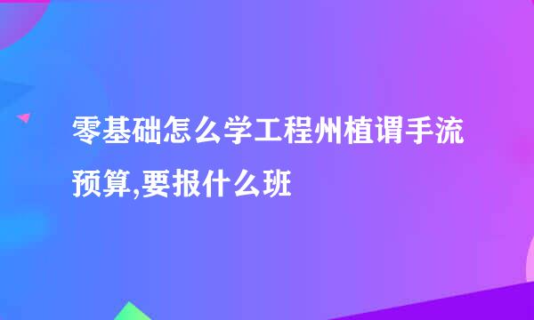 零基础怎么学工程州植谓手流预算,要报什么班