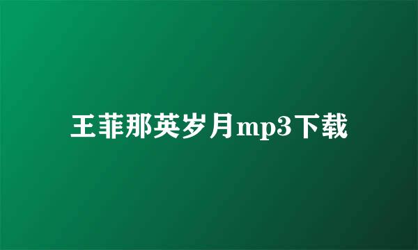 王菲那英岁月mp3下载