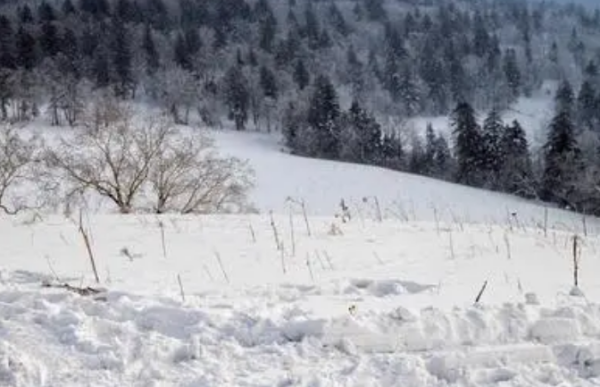 《塞北的雪》歌气命着电跳曲原唱是谁？