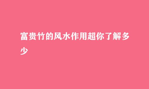 富贵竹的风水作用超你了解多少