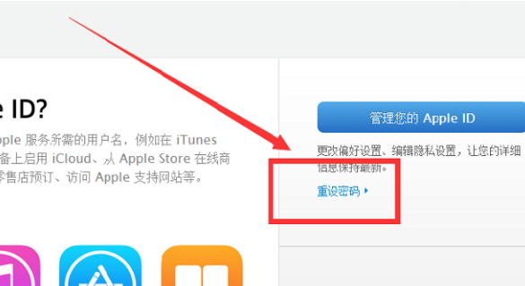 reportaproblem.***.cm什么来自意思？