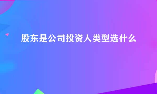 股东是公司投资人类型选什么