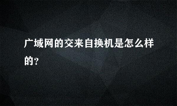 广域网的交来自换机是怎么样的？