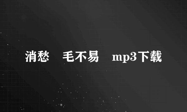 消愁 毛不易 mp3下载