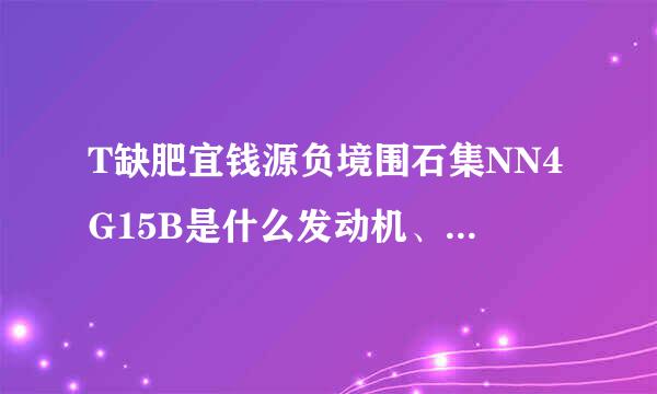 T缺肥宜钱源负境围石集NN4G15B是什么发动机、性能、动力如何？