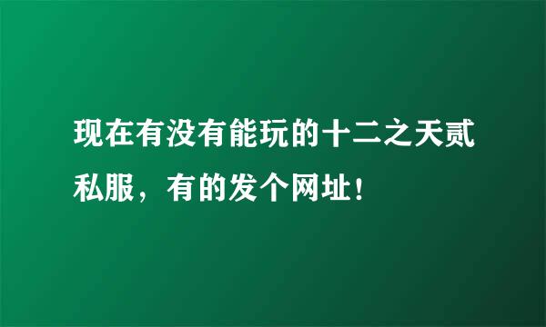 现在有没有能玩的十二之天贰私服，有的发个网址！