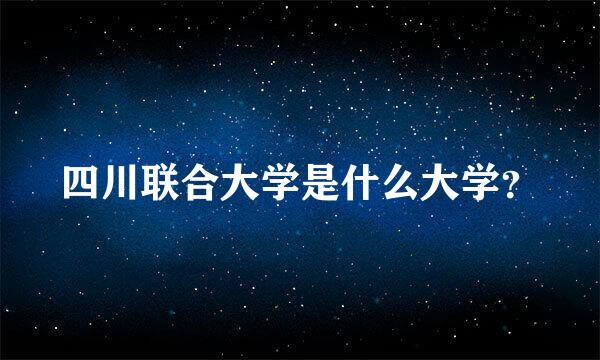 四川联合大学是什么大学？