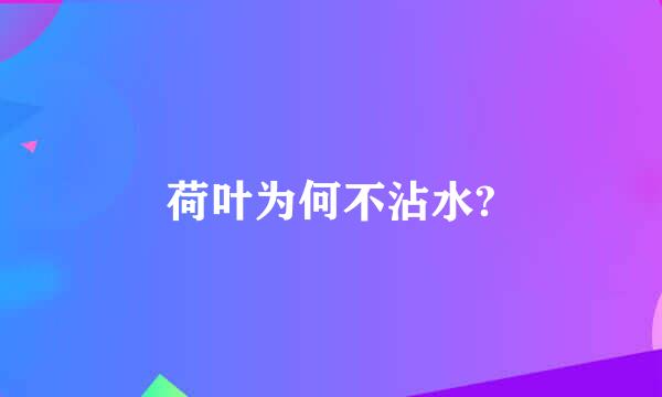 荷叶为何不沾水?