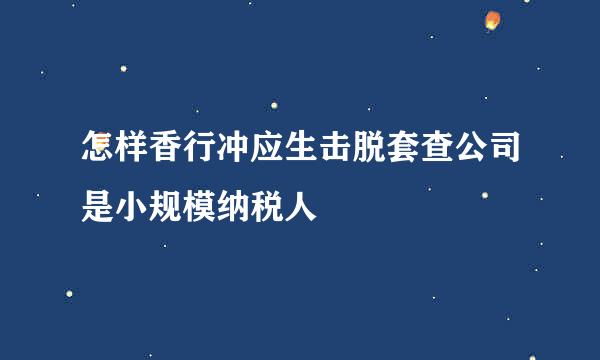 怎样香行冲应生击脱套查公司是小规模纳税人