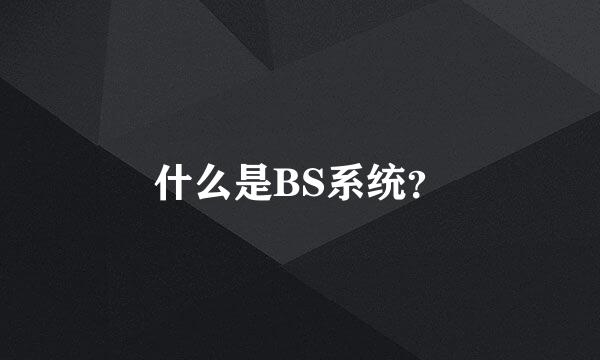 什么是BS系统？