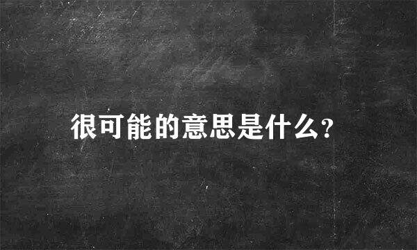 很可能的意思是什么？