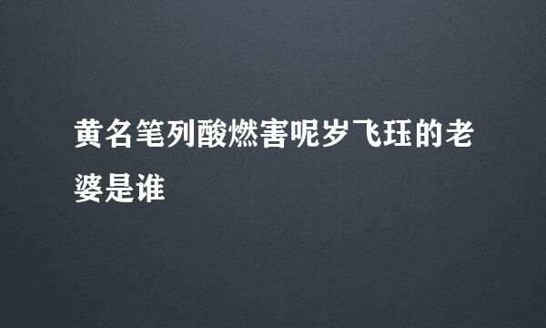 黄名笔列酸燃害呢岁飞珏的老婆是谁