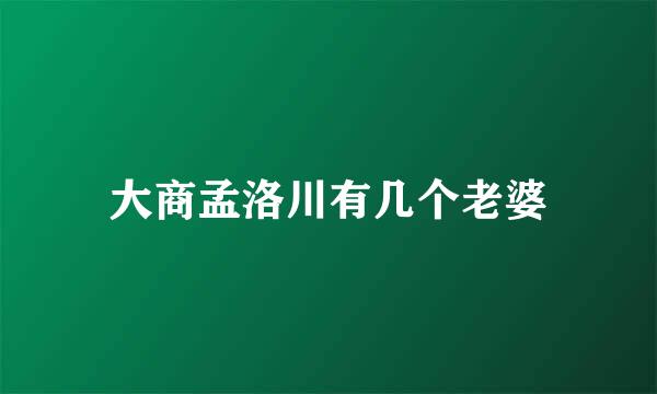 大商孟洛川有几个老婆