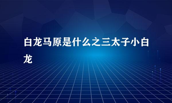 白龙马原是什么之三太子小白龙