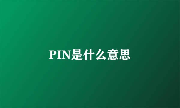 PIN是什么意思