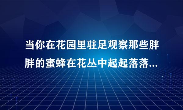 当你在花园里驻足观察那些胖胖的蜜蜂在花丛中起起落落，或者在厨房手拿苍蝇拍对着狡猾的苍蝇无可奈何时，你一定认同以下观点...