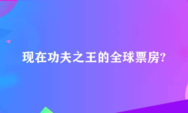 现在功夫之王的全球票房?