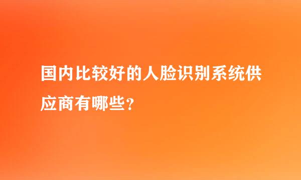 国内比较好的人脸识别系统供应商有哪些？