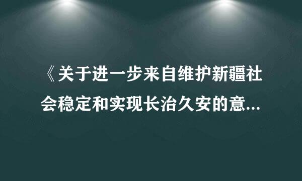 《关于进一步来自维护新疆社会稳定和实现长治久安的意见》是哪一年通过的