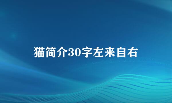 猫简介30字左来自右