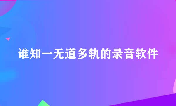 谁知一无道多轨的录音软件