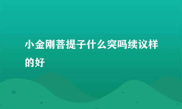 小金刚菩提子什么突吗续议样的好