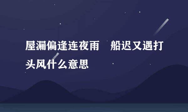 屋漏偏逢连夜雨 船迟又遇打头风什么意思