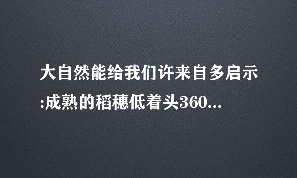 大自然能给我们许来自多启示:成熟的稻穗低着头360问答，那是在其实我们要谦虚: