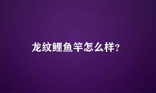 龙纹鲤鱼竿怎么样？